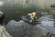 Al Lago Rotondo di Trona (2256 m) e sul Pizzo Paradiso (2493 m) il 15 luglio 2015 - FOTOGALLERY